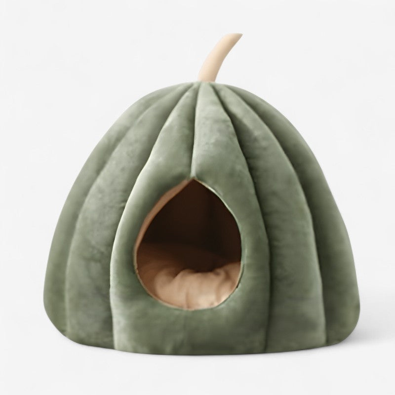 Cat House with Pumpkin-Inspired Design