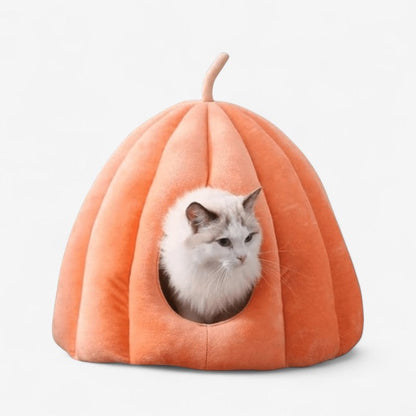 Cat House with Pumpkin-Inspired Design