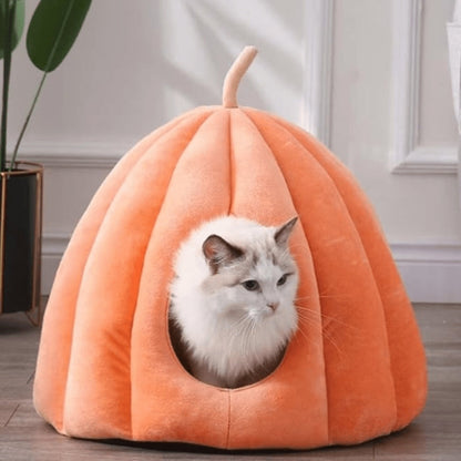 Cat House with Pumpkin-Inspired Design