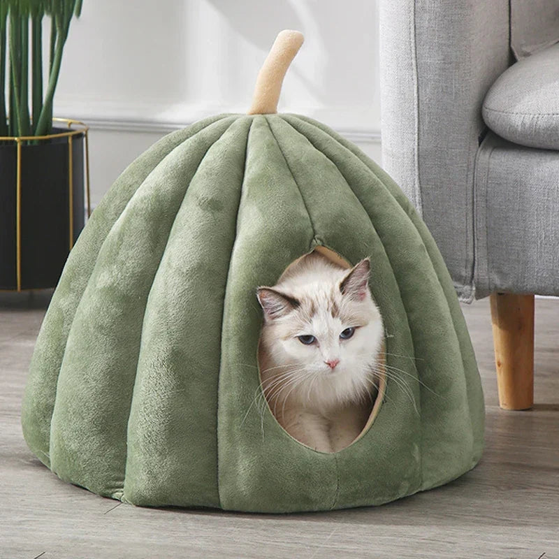 Cat House with Pumpkin-Inspired Design