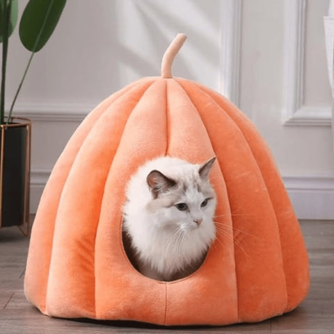CozyPaw pumpkin cat house