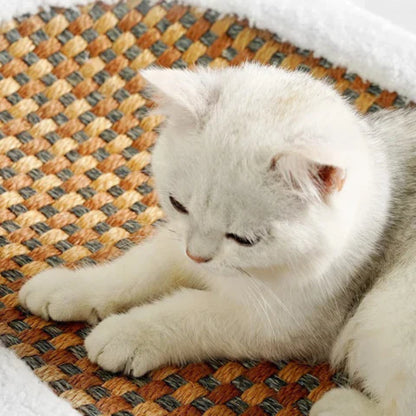Cat Scratching Bed