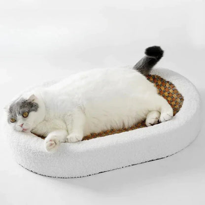 Cat Scratching Bed