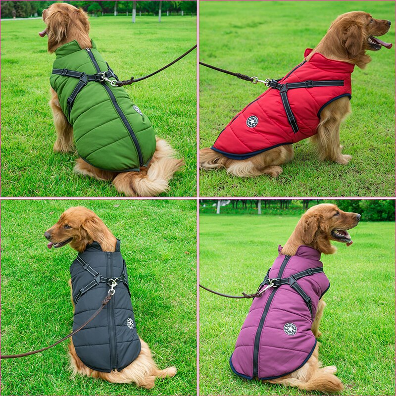 PawGuard dog coat harness detail