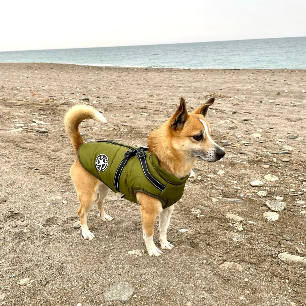 Dog Coat with Full Body Protection and Built-In Harness