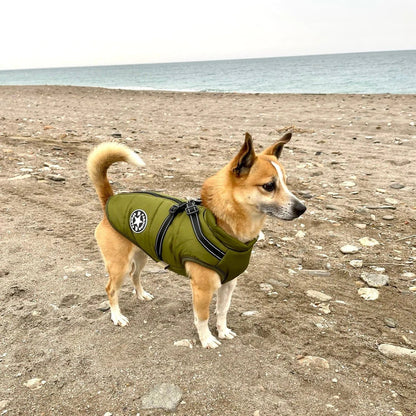 Dog Coat with Full Body Protection and Built-In Harness