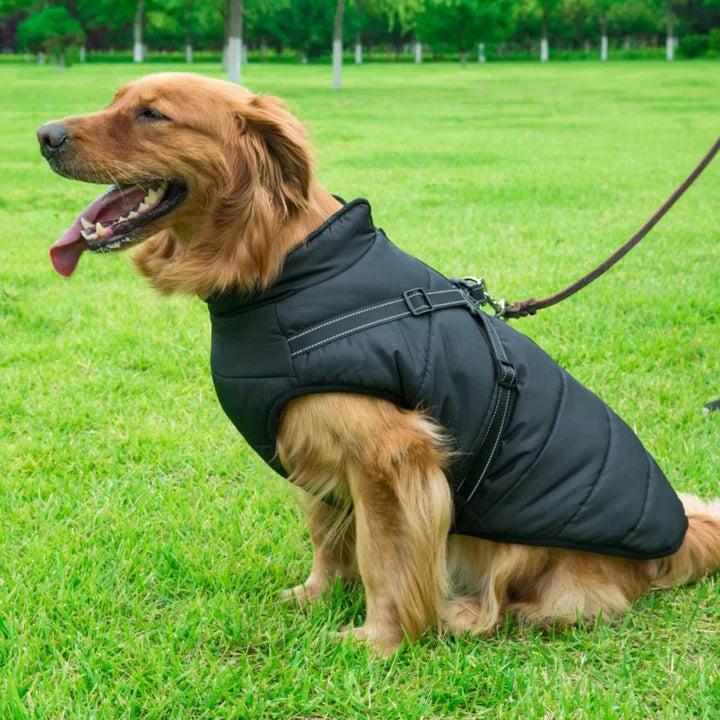 Dog Coat with Full Body Protection and Built-In Harness