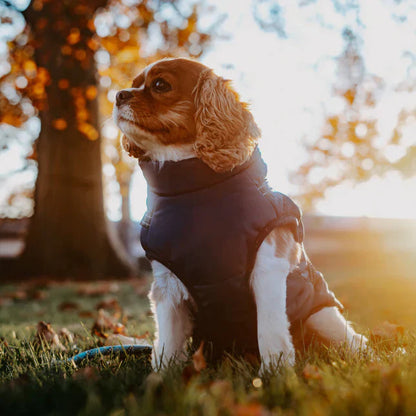 Dog Coat with Full Body Protection and Built-In Harness