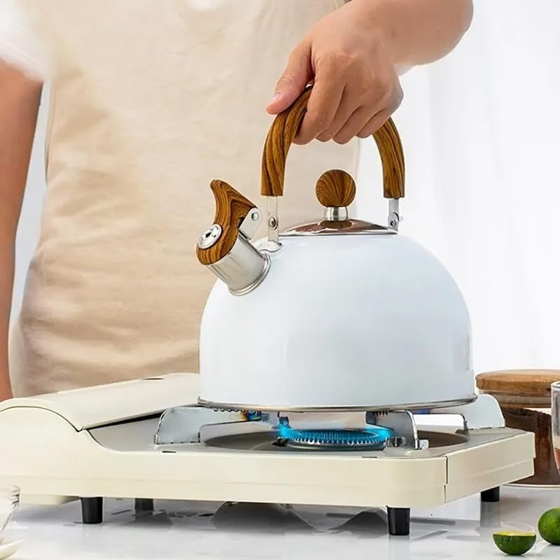 Dome-Shaped Whistling Kettle with Wooden Handle