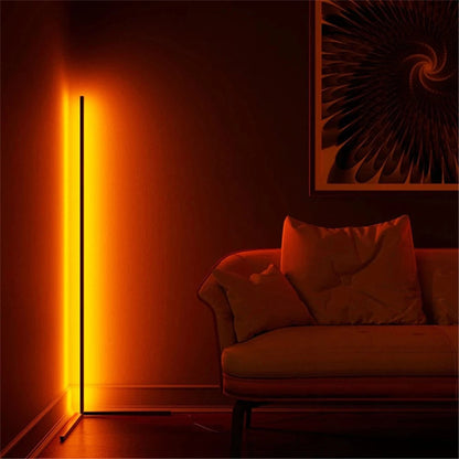 RGB Floor Lamp