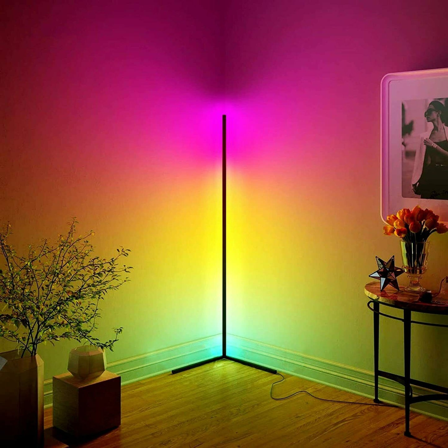 RGB Floor Lamp