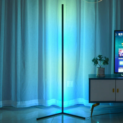 RGB Floor Lamp